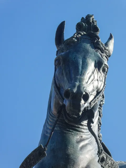 cavallino12
