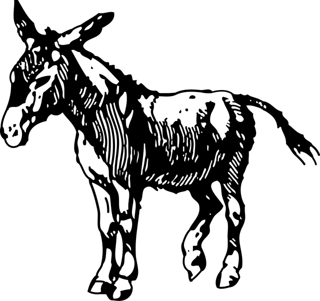 Betlemme01