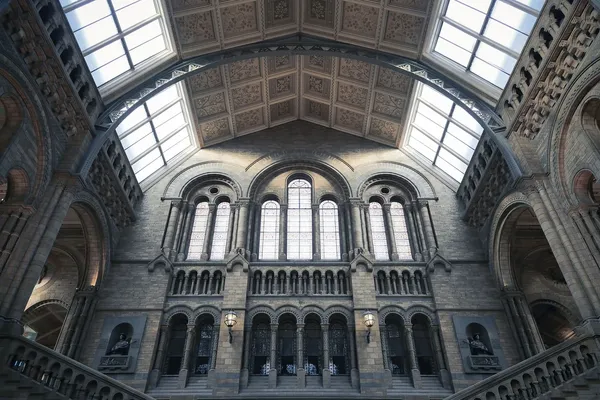 scuola_maresso10