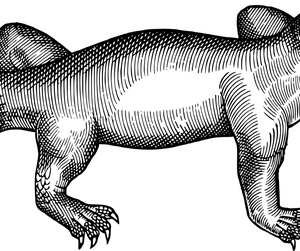 old01