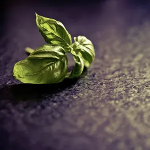 196c61222a0100000080cdde3d2e362a_1518
