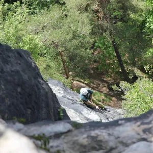 Disano01