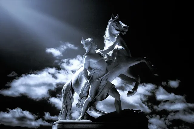 cavallino11